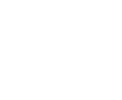 Olerion Pulsar